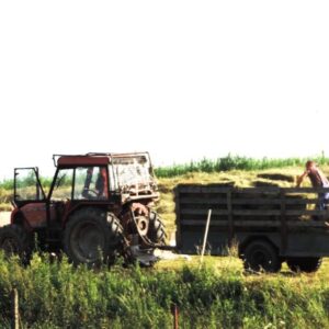 Potraviny k nám dovážajú tisícky kamiónov a naše polia zarastajú bez úžitku