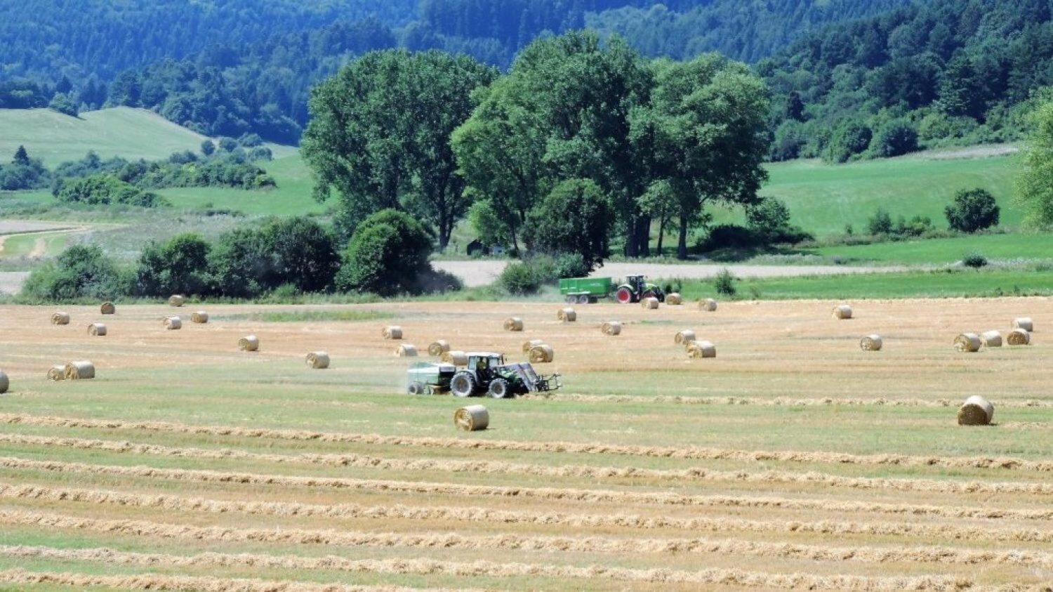 Z roka na rok venuje verejnosť zberu obilia menej pozornosti