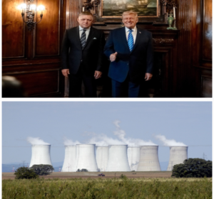 collage (13) Za vlastné zdroje!