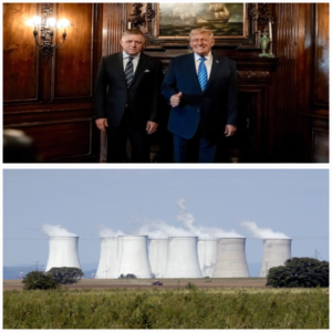 collage (13) Za vlastné zdroje!