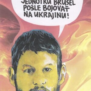 SNN 4_3_NÁZORY_GLOSÁR Glosár Andreja Mišaneka