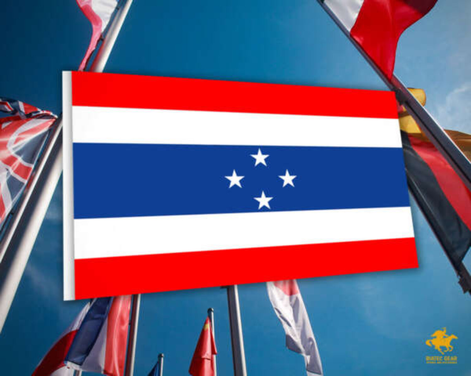 Symbol štátu z roka 1918 by mal byť spoločný pre obe nástupnícke republiky