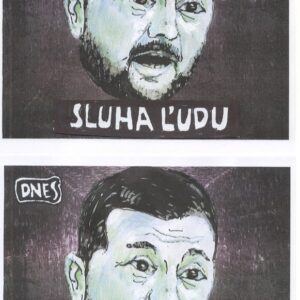 SNN 5_3_NÁZORY_GLOSÁR_Sluha ľudu e Glosár Andreja Mišaneka