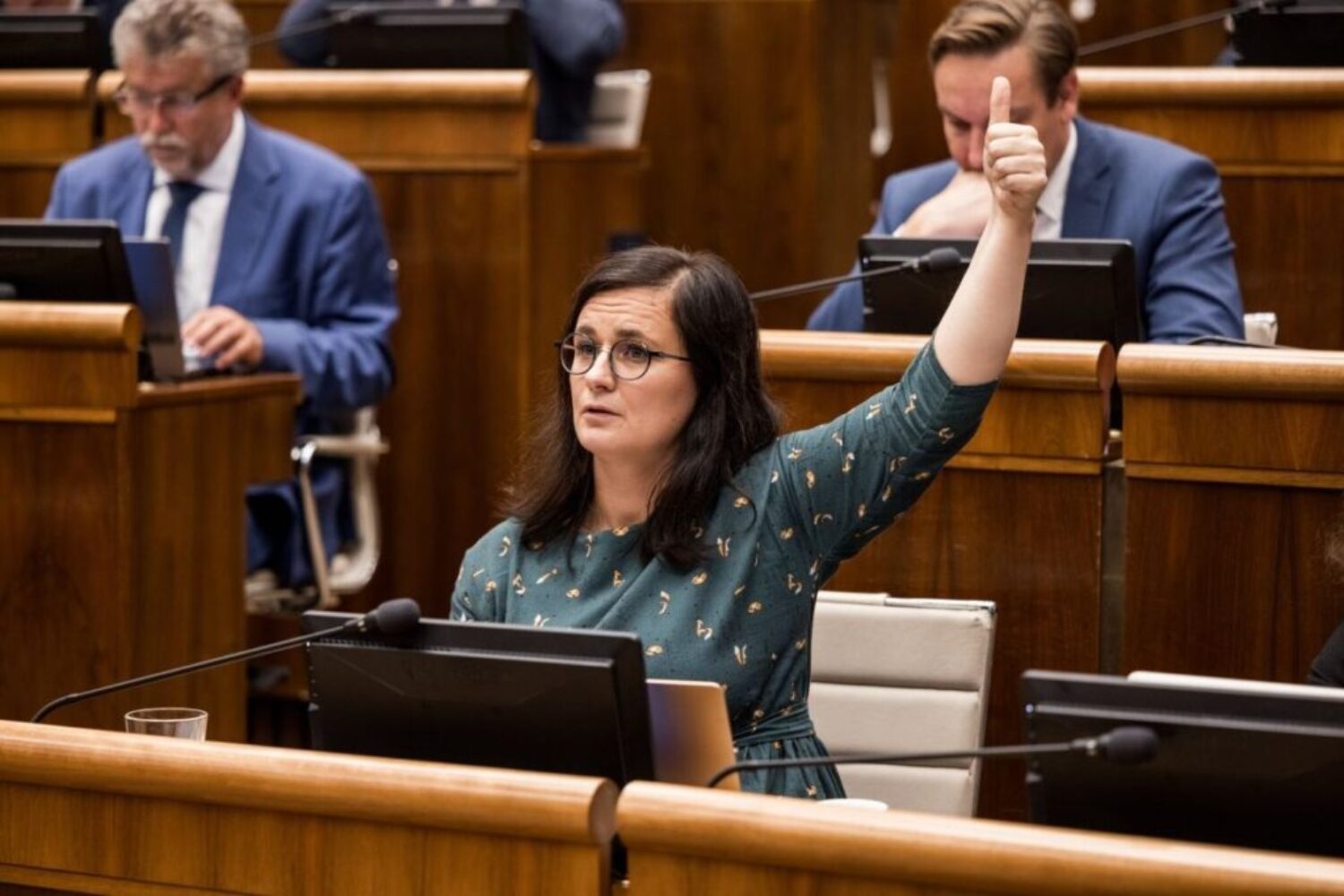 Parlament nie je kabaret