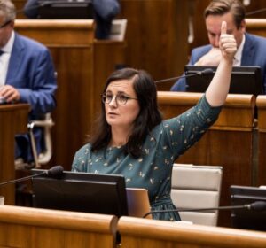 Parlament nie je kabaret