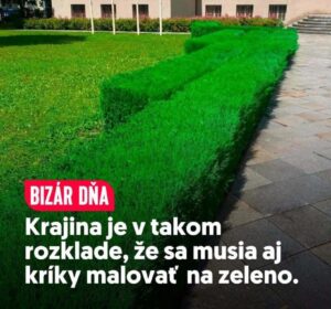 SLOVO O SLOVENSKU